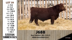 Lot #39 - J688