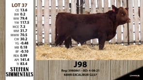 Lot #37 - J98