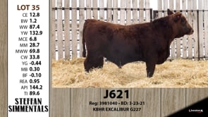 Lot #35 - J621