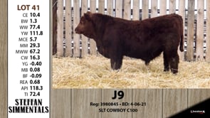 Lot #41 - J9