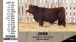 Lot #47 - J989