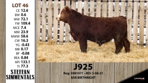 Lot #46 - J925