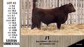 Lot #43 - J1