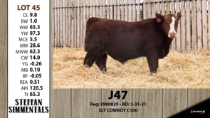 Lot #45 - J47