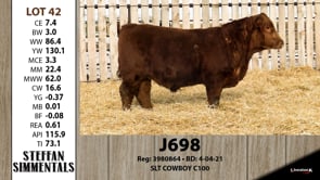Lot #42 - J698