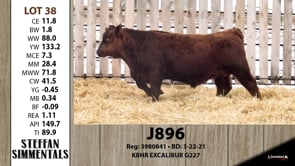 Lot #38 - J896