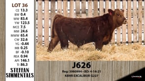 Lot #36 - J626