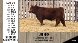 Lot #34 - J549