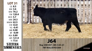 Lot #31 - J64