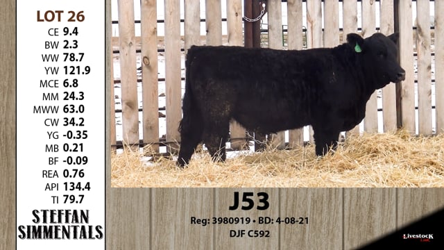 Lot #26 - J53