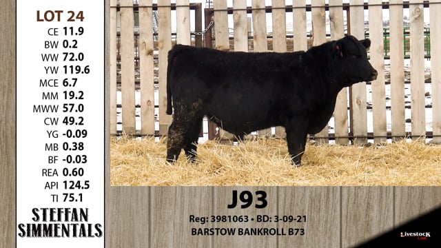 Lot #24 - J93
