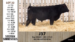 Lot #22 - J37
