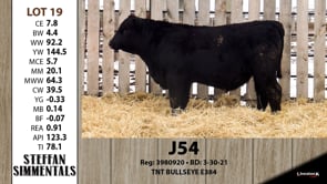 Lot #19 - J54
