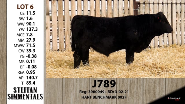 Lot #6 - J789