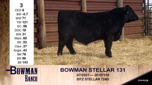 Lot #3 - BOWMAN STELLAR 131