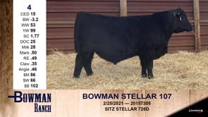 Lot #4 - BOWMAN STELLAR 107