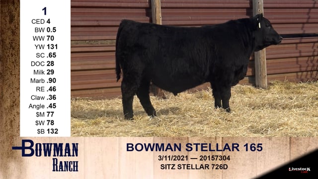 Lot #1 - BOWMAN STELLAR 165