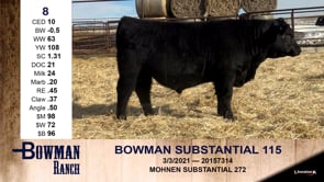 Lot #8 - BOWMAN SUBSTANTIAL 115