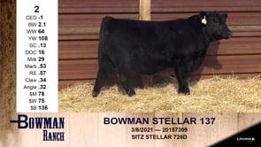 Lot #2 - BOWMAN STELLAR 137