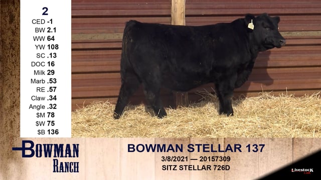 Lot #2 - BOWMAN STELLAR 137