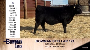 Lot #6 - BOWMAN STELLAR 121