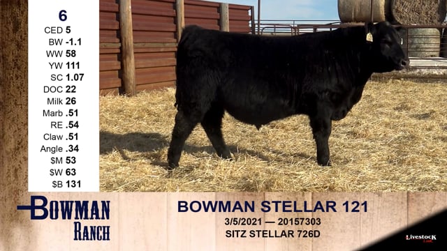 Lot #6 - BOWMAN STELLAR 121