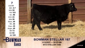 Lot #7 - BOWMAN STELLAR 167