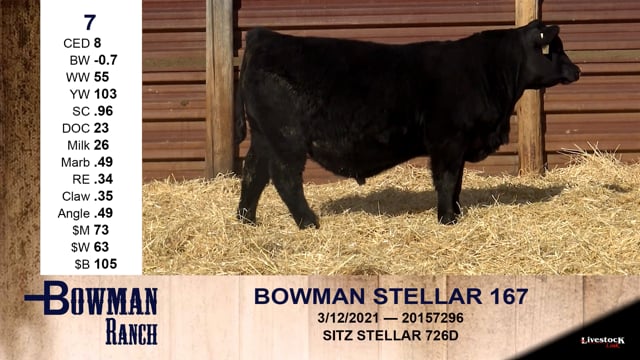 Lot #7 - BOWMAN STELLAR 167