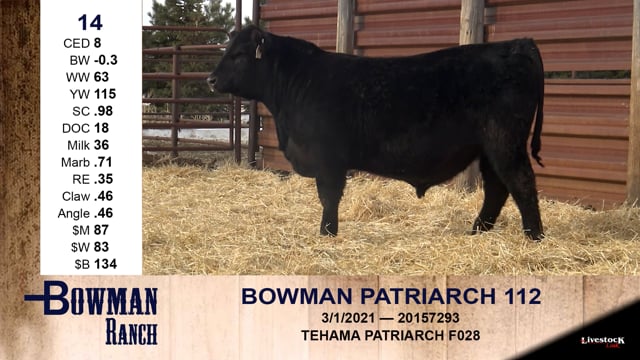 Lot #14 - BOWMAN PATRIARCH 112
