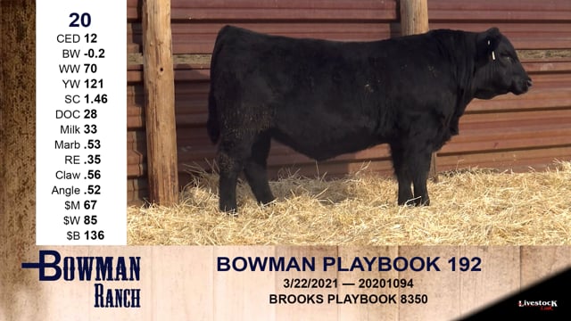 Lot #20 - BOWMAN PLAYBOOK 192
