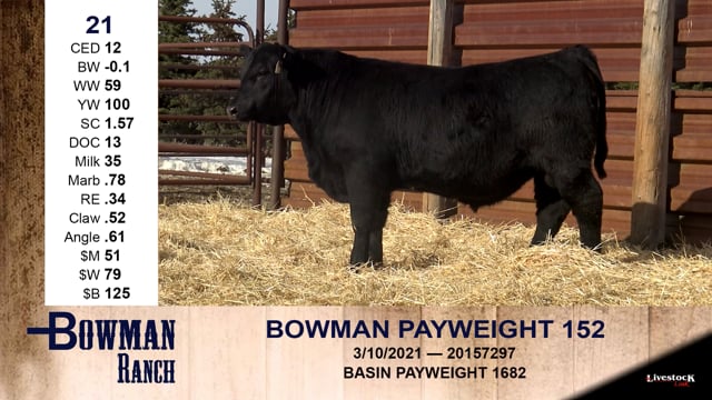 Lot #21 - BOWMAN PAYWEIGHT 152
