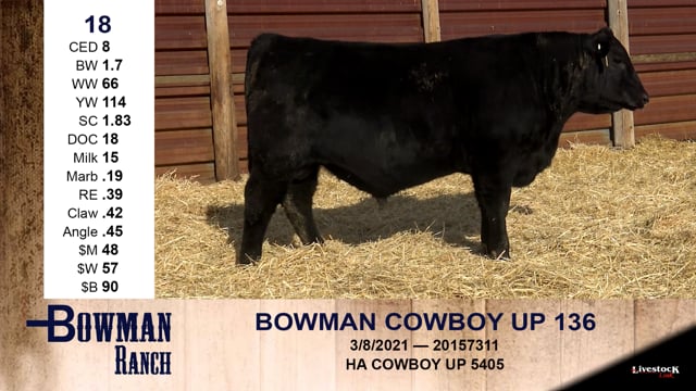Lot #18 - BOWMAN COWBOY UP 136