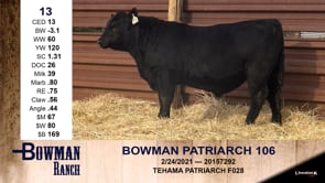 Lot #13 - BOWMAN PATRIARCH 106