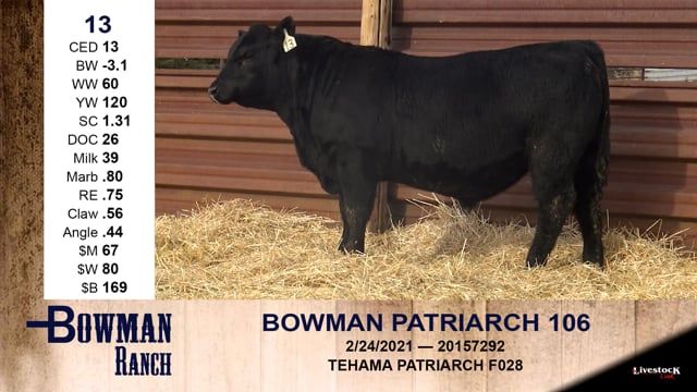 Lot #13 - BOWMAN PATRIARCH 106