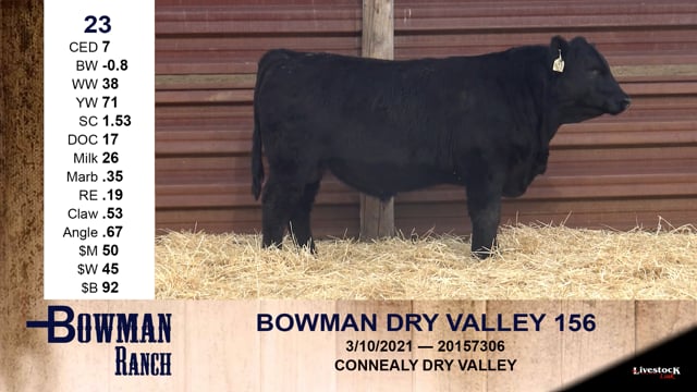 Lot #23 - BOWMAN DRY VALLEY 156