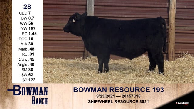 Lot #28 - BOWMAN RESOURCE 193