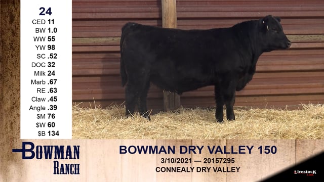 Lot #24 - BOWMAN DRY VALLEY 150