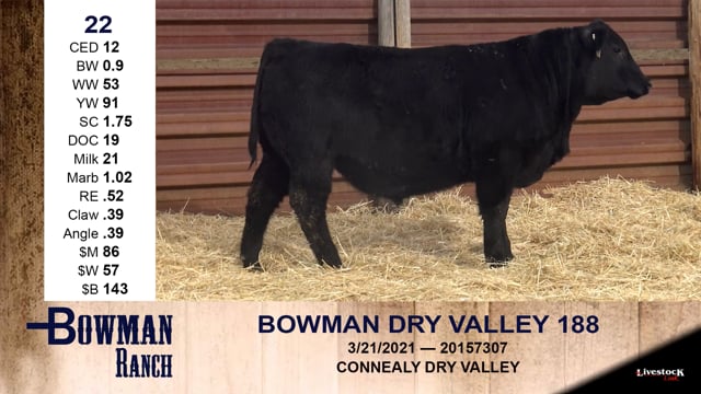 Lot #22 - BOWMAN DRY VALLEY 188