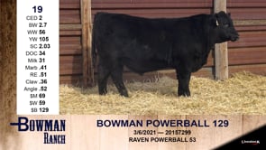 Lot #19 - BOWMAN POWERBALL 129
