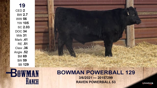 Lot #19 - BOWMAN POWERBALL 129