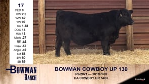 Lot #17 - BOWMAN COWBOY UP 130