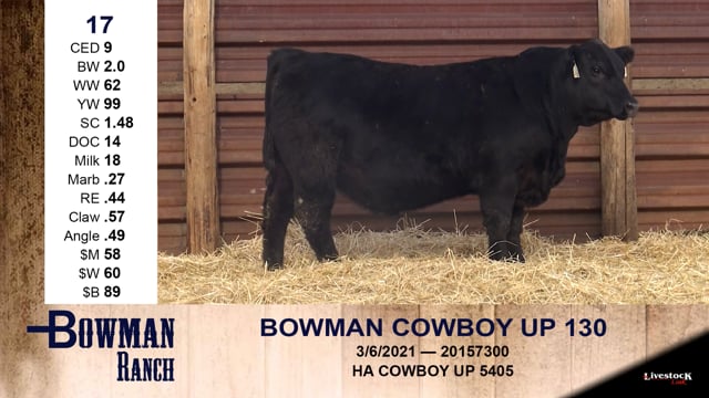 Lot #17 - BOWMAN COWBOY UP 130