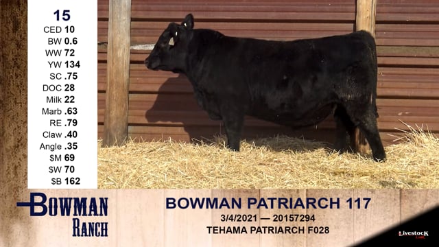 Lot #15 - BOWMAN PATRIARCH 117
