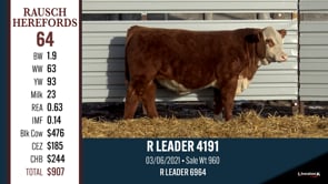 Lot #64 - R LEADER 4191