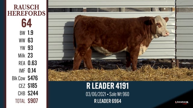 Lot #64 - R LEADER 4191