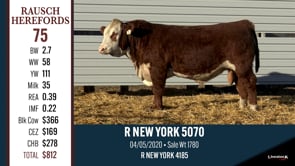 Lot #75 - R NEW YORK 5070