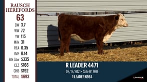 Lot #63 - R LEADER 4471