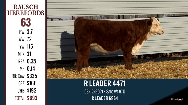 Lot #63 - R LEADER 4471