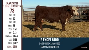 Lot #73 - R EXCEL 6100