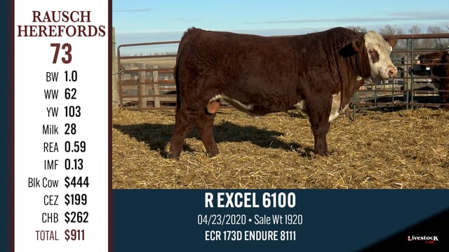Lot #73 - R EXCEL 6100